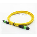 5m 10g Om4 50/125 Multimode MPO / MTP Câble optique à fibre optique